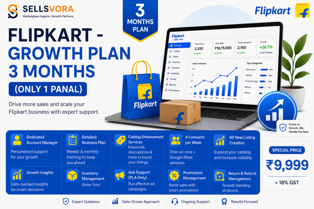 Flipkart – Growth Plan 3 Months (Only 1 Panel)